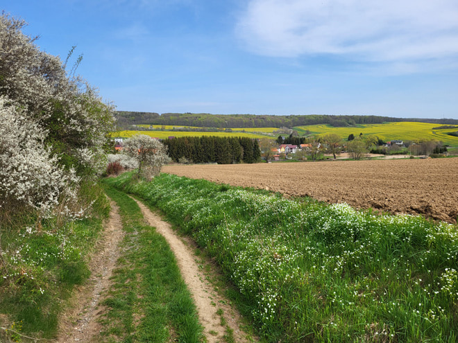 Beispielbild 1 - Frühlingslandschaft bei Pansfelde